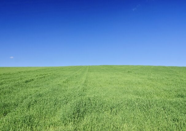 占いで人生を開花させるための突破口をひらく